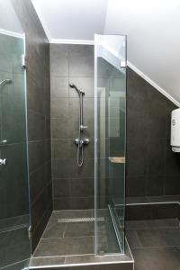 塞克萨德GÁRDI APARTMAN的浴室内带玻璃门的淋浴间