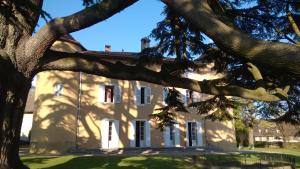 Les MarchesChâteau La Violette的前面有一棵树的白色大建筑