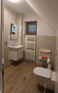 尼萨河畔亚布洛内茨Apartmá Jablonec的一间带卫生间和水槽的浴室