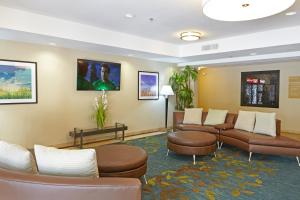 圣安东尼奥圣安东尼奥机场烛木套房酒店的带沙发和椅子的等候室