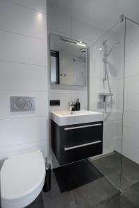 阿姆斯特丹2 Houseboat Suites Amsterdam Prinsengracht的一间带水槽、卫生间和镜子的浴室