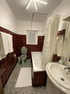 比绍夫斯霍芬Apartment Bischofshofen的浴室配有绿色卫生间和水槽。