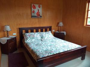 平托罗沙度假屋的一间卧室配有一张床、两个床头柜和两盏灯。