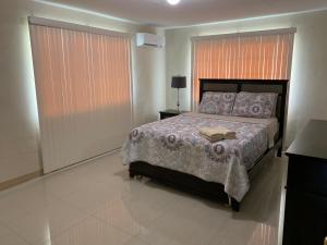 MangilaoCasa De Pedro Entire Apartment的一间卧室设有一张床和一个大窗户