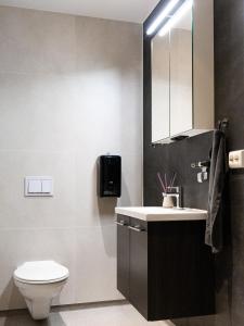 奥斯陆奥斯陆罗宁根旅馆的一间带卫生间、水槽和镜子的浴室