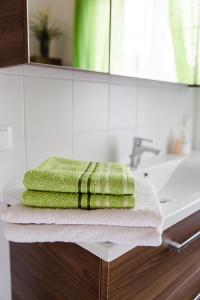 阿特湖畔施泰因巴赫Wohnung am See的浴室水槽顶部的绿毛巾