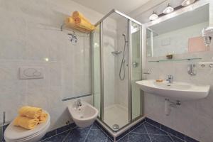 马兰扎Bergdiamant的带淋浴、盥洗盆和卫生间的浴室