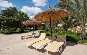 乌姆苏克Djerba Resort- Families and Couples Only的庭院里摆放着一组椅子和遮阳伞