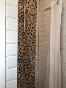 赞德沃特萨玛豪斯赞德沃特山林小屋的带淋浴和浴帘的浴室