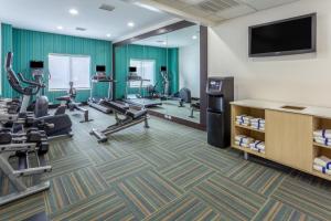 夏洛特阿罗伍德快捷假日酒店的健身房设有有氧器材和平面电视