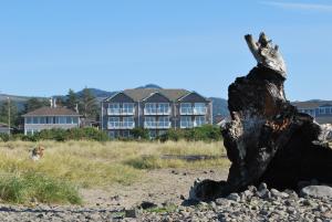 西塞德海边宾馆的海滩上的树 ⁇ ,背靠一栋建筑物