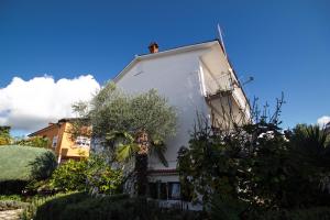 诺维格勒伊斯特拉Villa Maria的前面有一棵树的白色房子