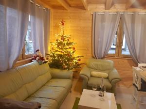 特兹萨茨Cztery Pory Roku的客厅配有圣诞树和沙发