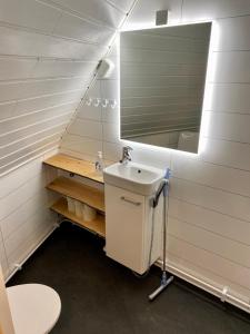索特Syöte Igloos的一间带水槽和镜子的浴室