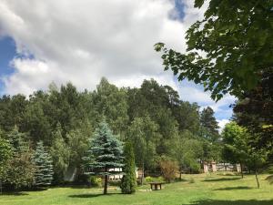 纳尔提Agroturystyka Leśna Dolinka的草丛中树木和长凳的公园