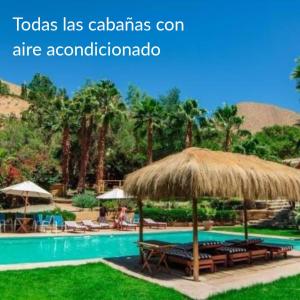 皮斯科艾齐Refugio Misterios del Elqui的一个带游泳池和草伞的度假胜地