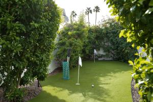 棕榈泉Dive Palm Springs的草地上带两个高尔夫球的高尔夫球场