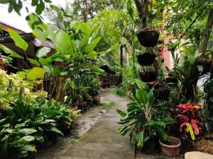 圣维森特宾维斯旅游宾馆的种有植物和人行道的花园