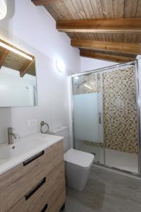 Los LlanillosCasa Rural Los Frailes的带淋浴、卫生间和盥洗盆的浴室