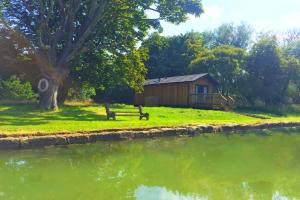 邓巴The Lodge by the Lake, Dunbar的相册照片