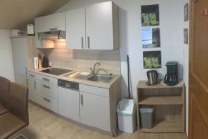 毛拉赫Appartement Straninger am Achensee的一间带水槽和冰箱的小厨房