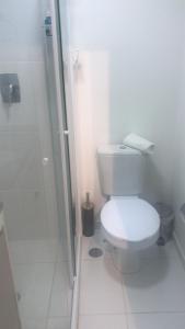 圣保罗Suites Metrô Luz的白色的浴室设有卫生间和淋浴。