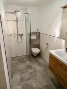 巴德加斯坦拉盖博乡村别墅公寓的带淋浴、卫生间和盥洗盆的浴室