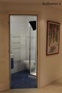 莫尔金斯Edelweiss A13的一间带卫生间和玻璃门的浴室