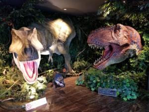 浦安Henn na Hotel Maihama Tokyo Bay的在博物馆展出恐龙骨骼