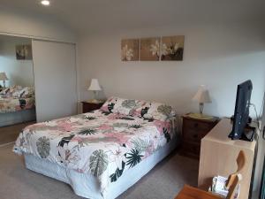 Summer洞岩旅馆的一间卧室配有一张床和一台电视。