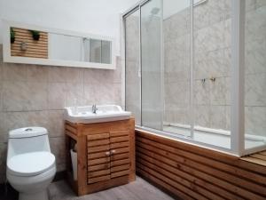 瓦尔帕莱索Hostal Rama & CaStle的浴室配有卫生间、淋浴和盥洗盆。