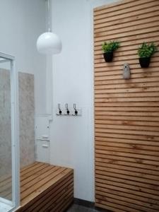瓦尔帕莱索Hostal Rama & CaStle的浴室设有木墙,上面有两株植物