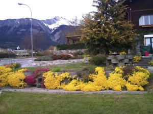 Alpes - Valais - Au Chalet les Roses外面的花园