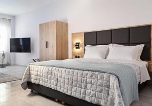塞萨洛尼基Dream Suite的一间卧室配有一张大床和一台平面电视