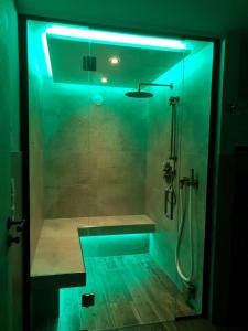 纳瑟尔文勒Landhaus Schatz的带淋浴的浴室(带蓝色灯光)
