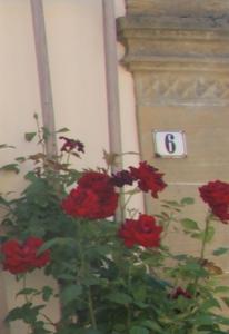 ZapfendorfResidenz Nr.6的钟前的一束红色鲜花