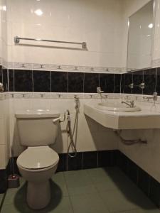 波德申Glory beach resort private apartment的一间带卫生间和水槽的浴室