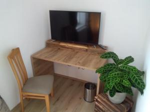 PölsBike Pension Knausz的一张桌子,里面配有电视,椅子和植物