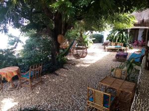 BubaqueSaldomar B&Biosphere的树下带桌椅的花园