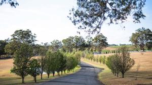 波高尔宾voco™ Kirkton Park Hunter Valley, an IHG Hotel的田间中一条树木林立的道路