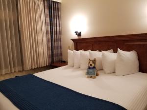 杰克逊The Rockwell Inn的坐在酒店房间床上的泰迪熊
