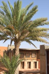Al WāşilNomadic Desert Camp的一座建筑前的棕榈树