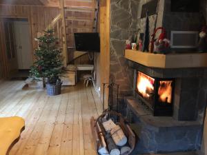 维斯瓦Domek Malinka 13的客厅设有壁炉和圣诞树