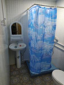 布哈拉Zafar Family Guesthouse的浴室设有水槽和蓝色的浴帘