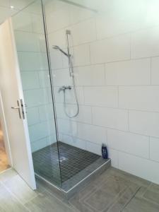 LottstettenDiti Apartment的淋浴间设有玻璃门和淋浴