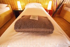 霍斯彭塔尔圣哥达苏斯特旅馆的床上有棕色毯子