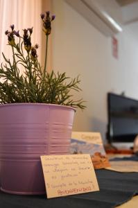 孔苏埃格拉归恩达公寓的一张桌子上粉红色的盆子上的植物,附着一张纸条