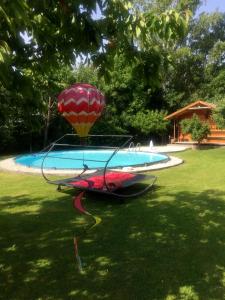 梅谢尼希Blindert的坐在游泳池旁的热气球