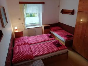 泽勒兹纳·鲁达Penzion Rudolfovna的小房间设有两张床和窗户