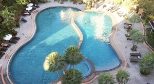 北芭堤雅Wongamat Privacy Naklua Soi 16-2的享有棕榈树大型游泳池的顶部景致